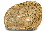 Polished Graphic Granite Bowl - Madagascar #302626-1